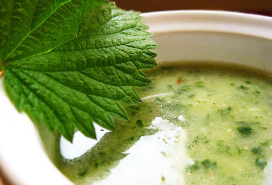 Isırgan Çorbası Tarifi ve Malzemeleri